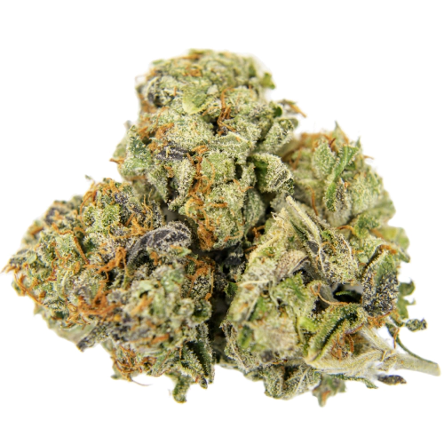 Buy Voodoo Sativa Weed Strain Buy Voodoo Sativa Weed Strain