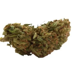 Buy Washington Apple Weed Strain