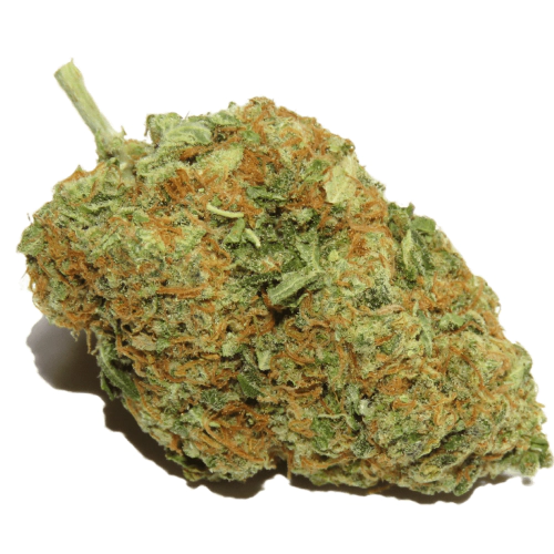 Buy West Coast Diesel Sativa Weed Strain Buy West Coast Diesel Sativa Weed Strain