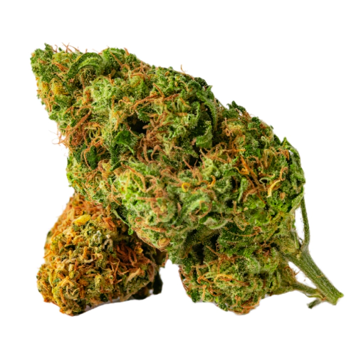 Buy Wild Thailand Sativa Weed Strain Buy Wild Thailand Sativa Weed Strain