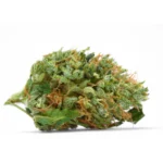 Buy Hybrid Marijuana Strains Online