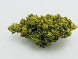 Buy XJ-13 weed strain