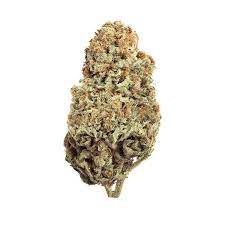 Buy Yeager Weed strain, Buy kashmir Kush Hybrid weed strain