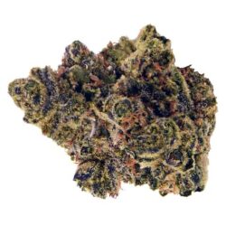Buy Zookies Weed strain